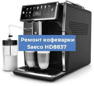 Чистка кофемашины Saeco HD8837 от кофейных масел в Тюмени